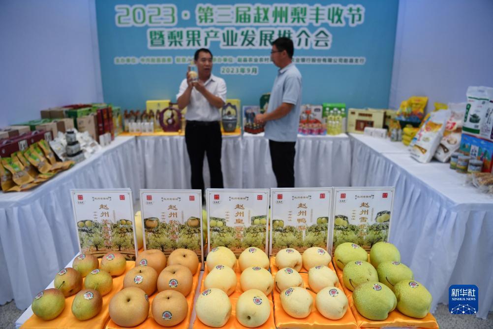 庄龙宝 闲龙宝规则