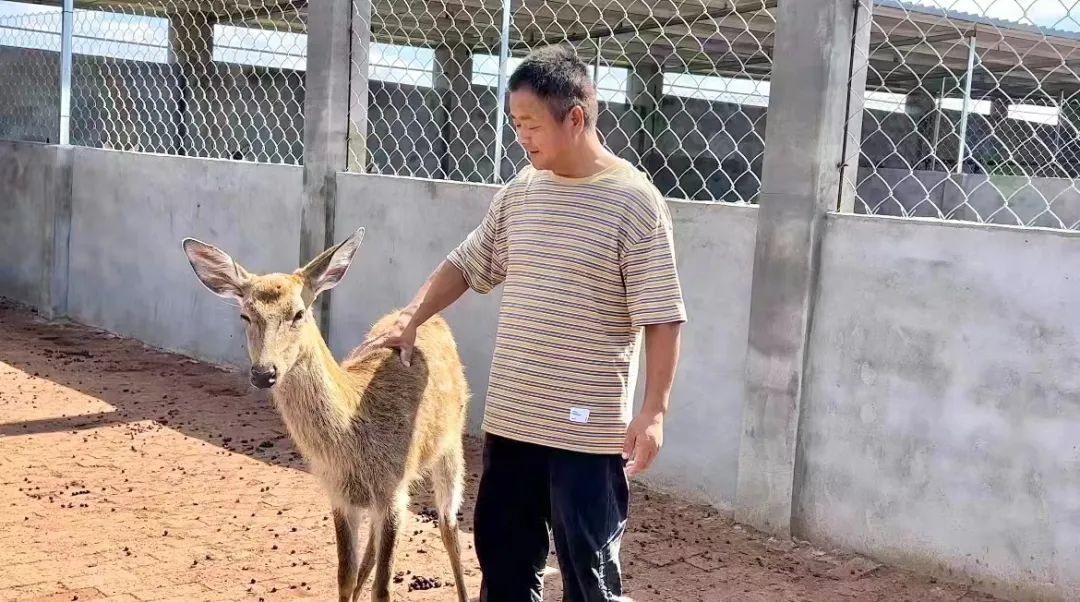 蒙特卡洛罗娱乐网站